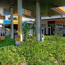 Sinnbild einer Region: Kehrt je wieder Leben in die Sperrzone von Fukushima zurück?