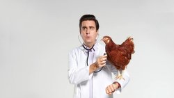 «Pastekwa» zügelt von Sat 1 zu Amazon Prime.