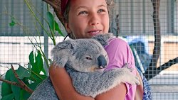 Izzy und die Koalas