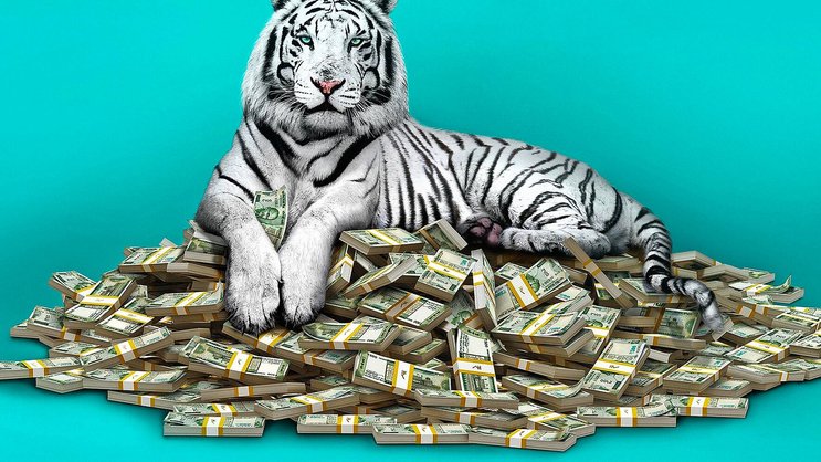 Aufstieg und Reichtum sind für Menschen wie Balram so selten wie ein weisser Tiger.