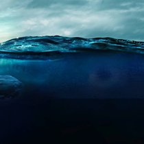 Anmutige Riesen: Das Boot der Forscherinnen ist ein Klacks gegen den 15-Meter-Buckelwal.
