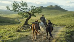 Alles was das Serienherz begehrt: Ein Ritter, drei Pferde und eine einsame Ulme. 