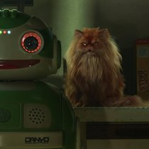 Durchgeknallt gibt’s nicht. Zur Anthologieserie «Love, Death & Robots» passt auch die Combo Roboter und Katze.