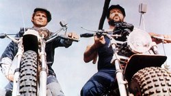 Noch heute ein Kult-Duo: Terence Hill und Bud Spencer, hier in «Zwei wie Pech und Schwefel» (1974).