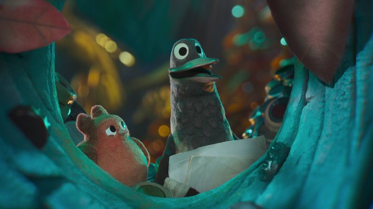 Gefiederte Freunde: die kleine Robin und die grosse Elster.