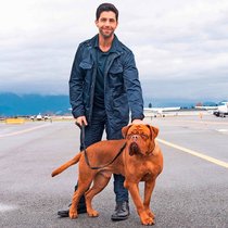 Mein Partner mit der kalten Schnauze: Scott Turner (Josh Peck) mit Dogge.