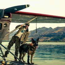 Immer an James’ (Brad Pitt) Seite: Schäferhund Odin, der mit ihm schon an der Front war.