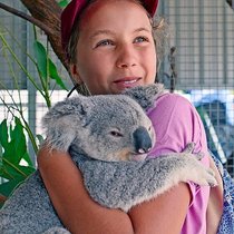 Izzy und die Koalas