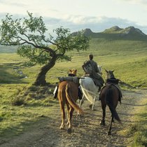 Alles was das Serienherz begehrt: Ein Ritter, drei Pferde und eine einsame Ulme. 