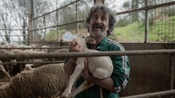 Jööö! Luis Zahera sorgt als Landtierarzt Anton für herrlich gute Laune.