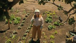 Lilly (Melissa McCarthy) will ihrem tierischen Nachbarn die Federn rupfen.