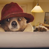 Der Knuddelbär Paddington erobert zum dritten Mal die Kinoleinwand.
