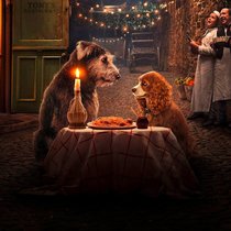 Susi und Strolch Serie disney+