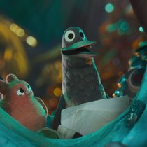 Gefiederte Freunde: die kleine Robin und die grosse Elster.