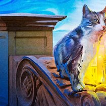 Katzenliebe